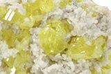 Striking Sulfur Crystal Cluster - Italy #240643-2